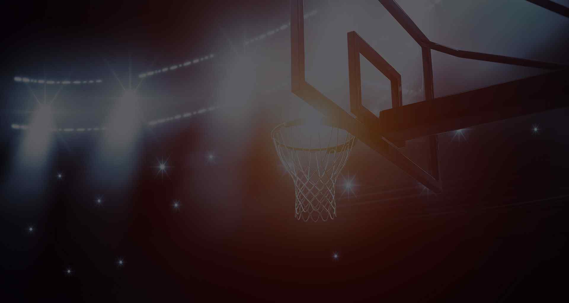 Le club Versoix Basket